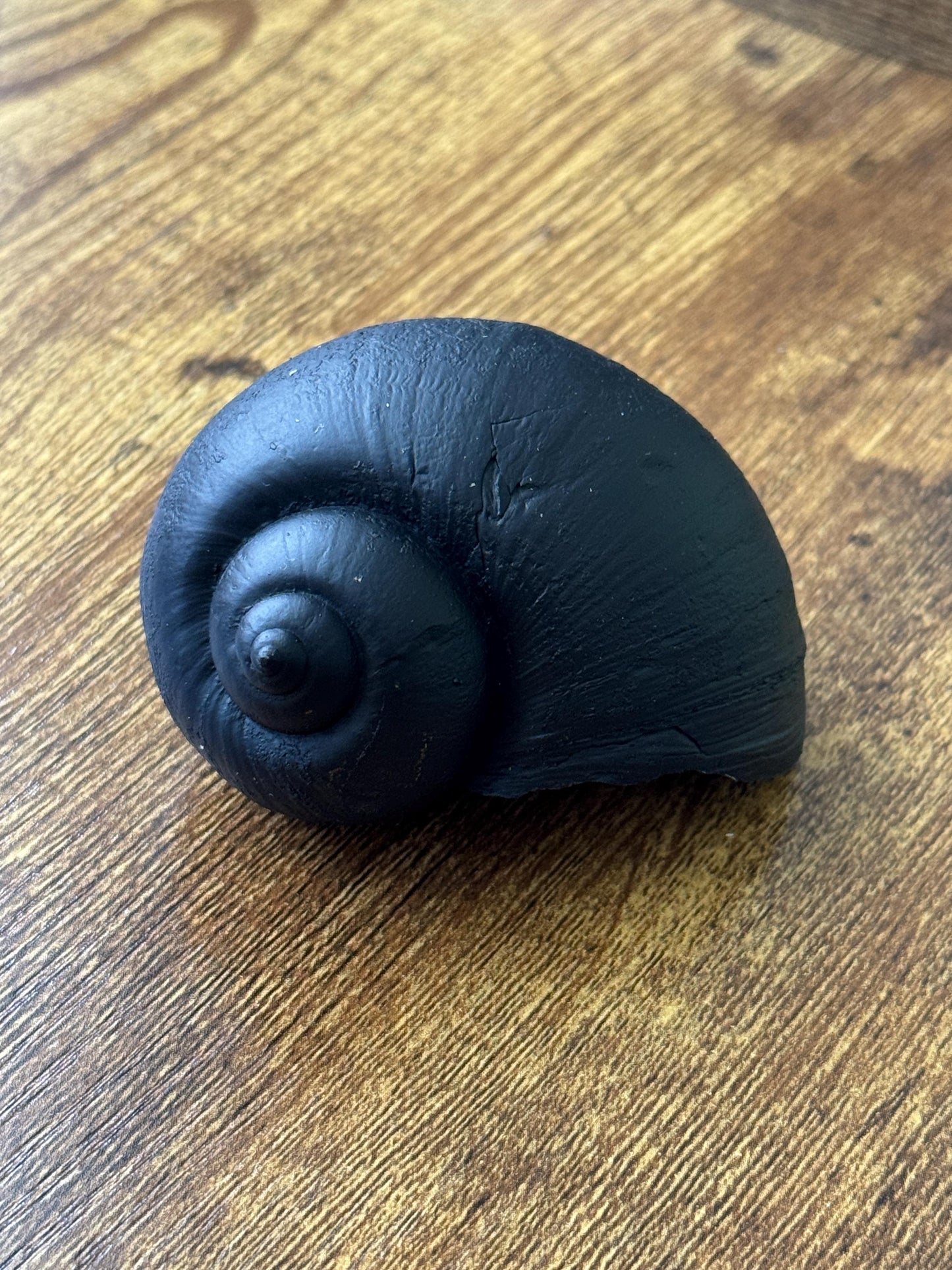 “Snail Treasures”