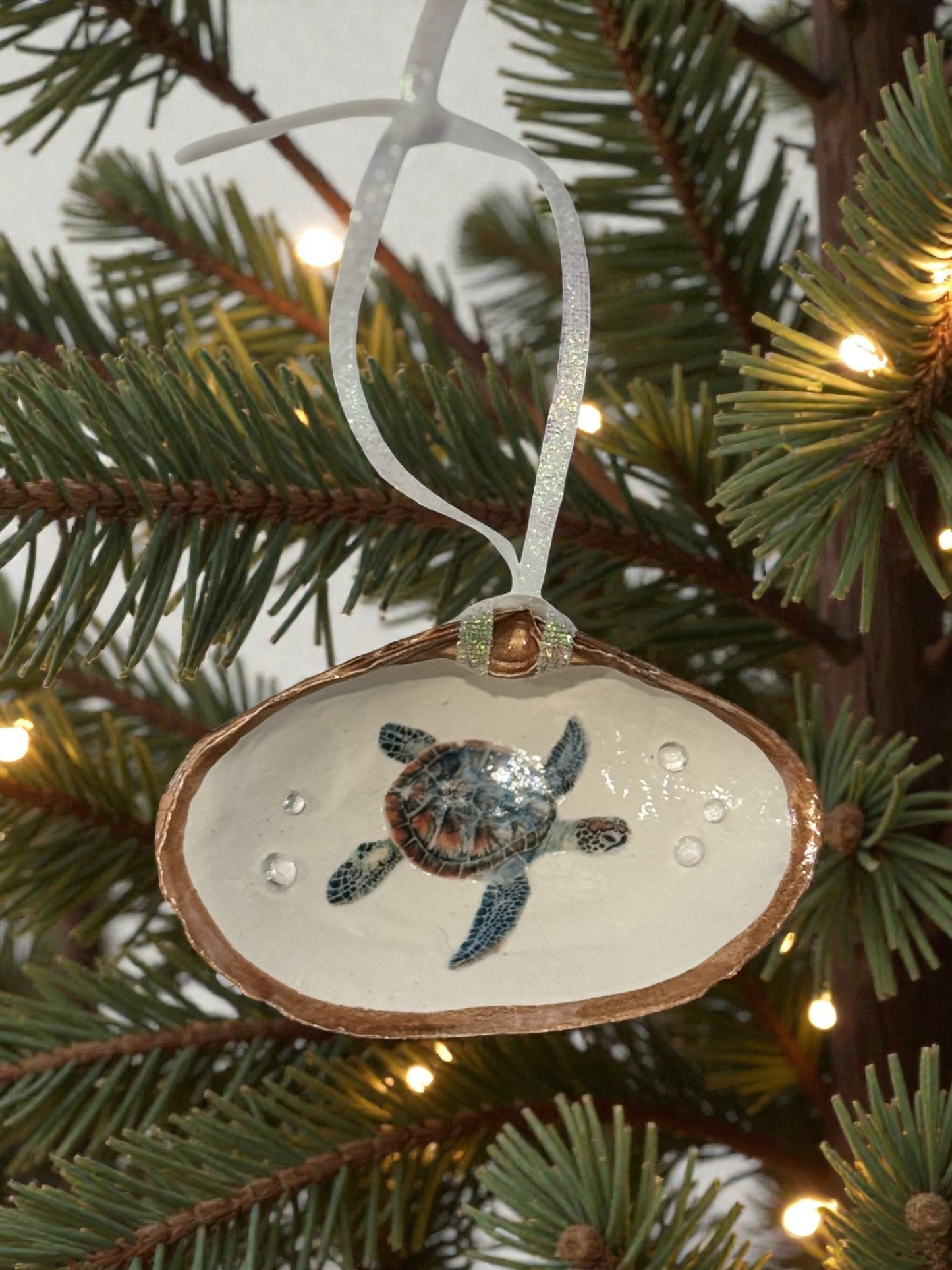"Turtley Cute”