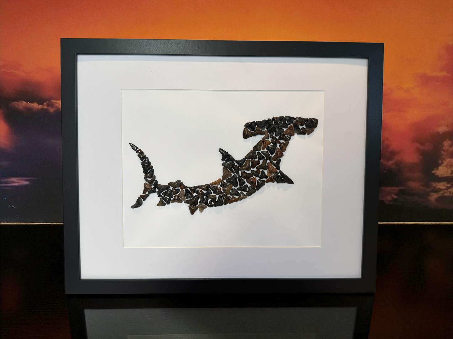 Large Hammerhead Shark – Fossilized Shark Teeth Wall Art (12” x 15”)