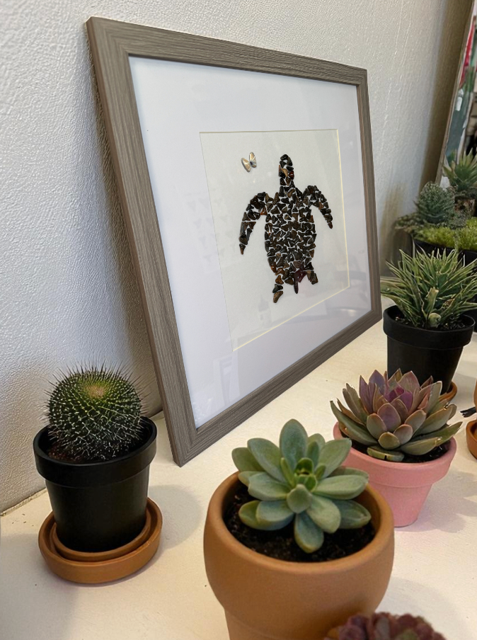 Turtle Love – Fossilized Shark Tooth Sea Turtle Wall Art | Handmade Coastal Décor (13" x 13")