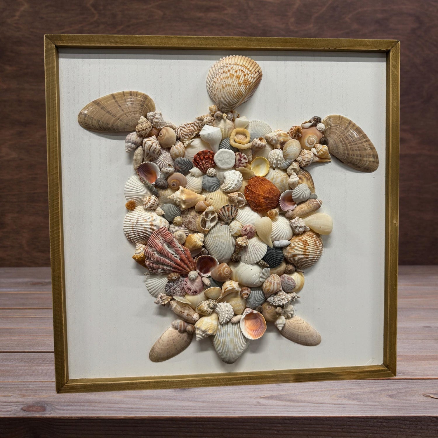 Shell Designs