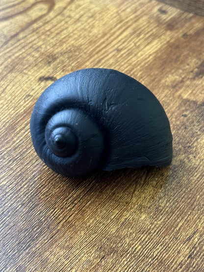 Giant Apple Snail Shells