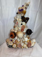 Shell Witch Hat