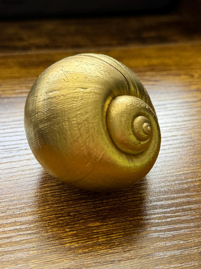 Giant Apple Snail Shells