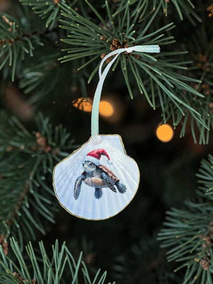 "Turtle Little Christmas”