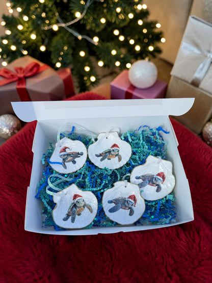 "Turtle Little Christmas”