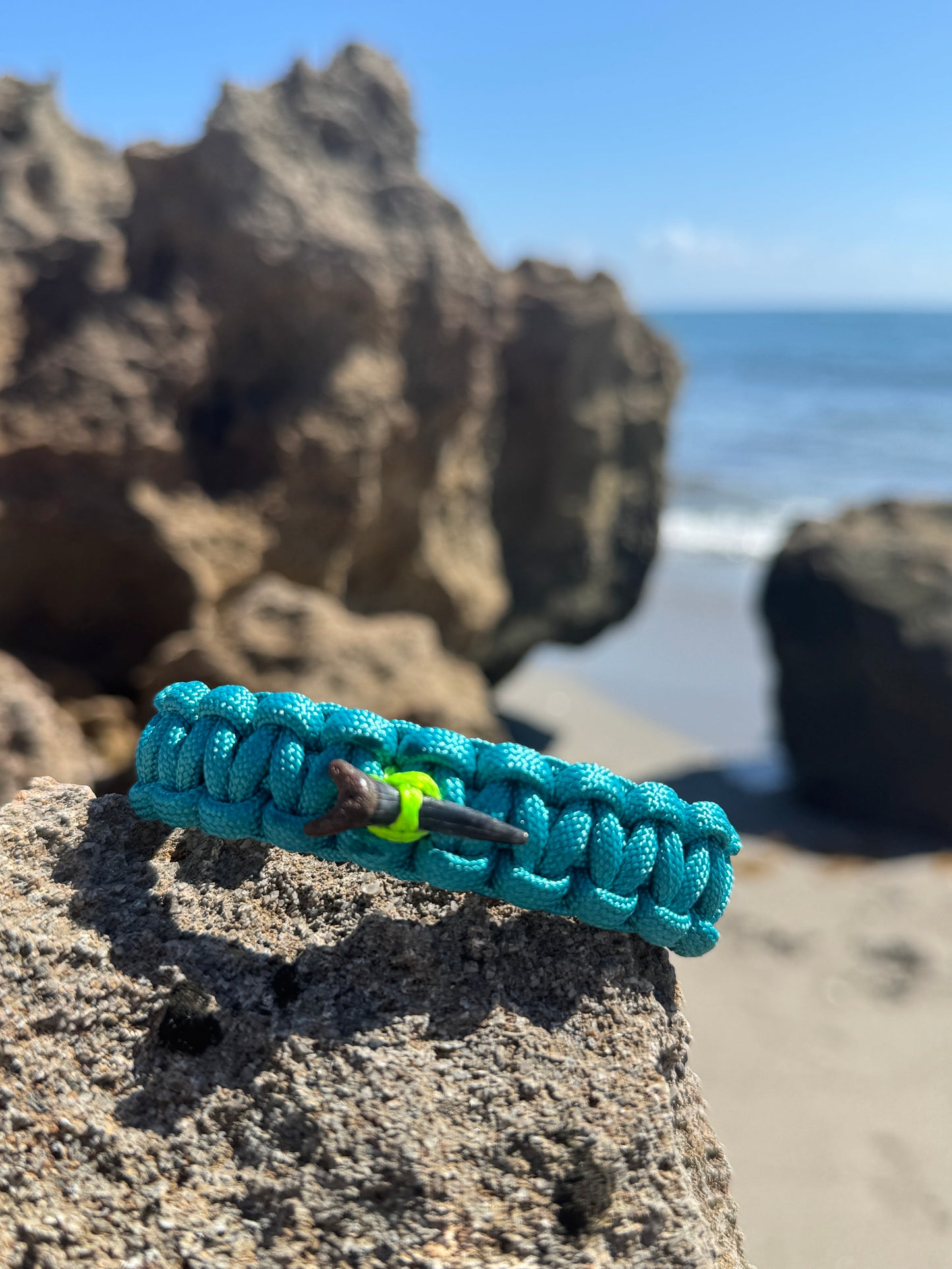 Shark Shackle