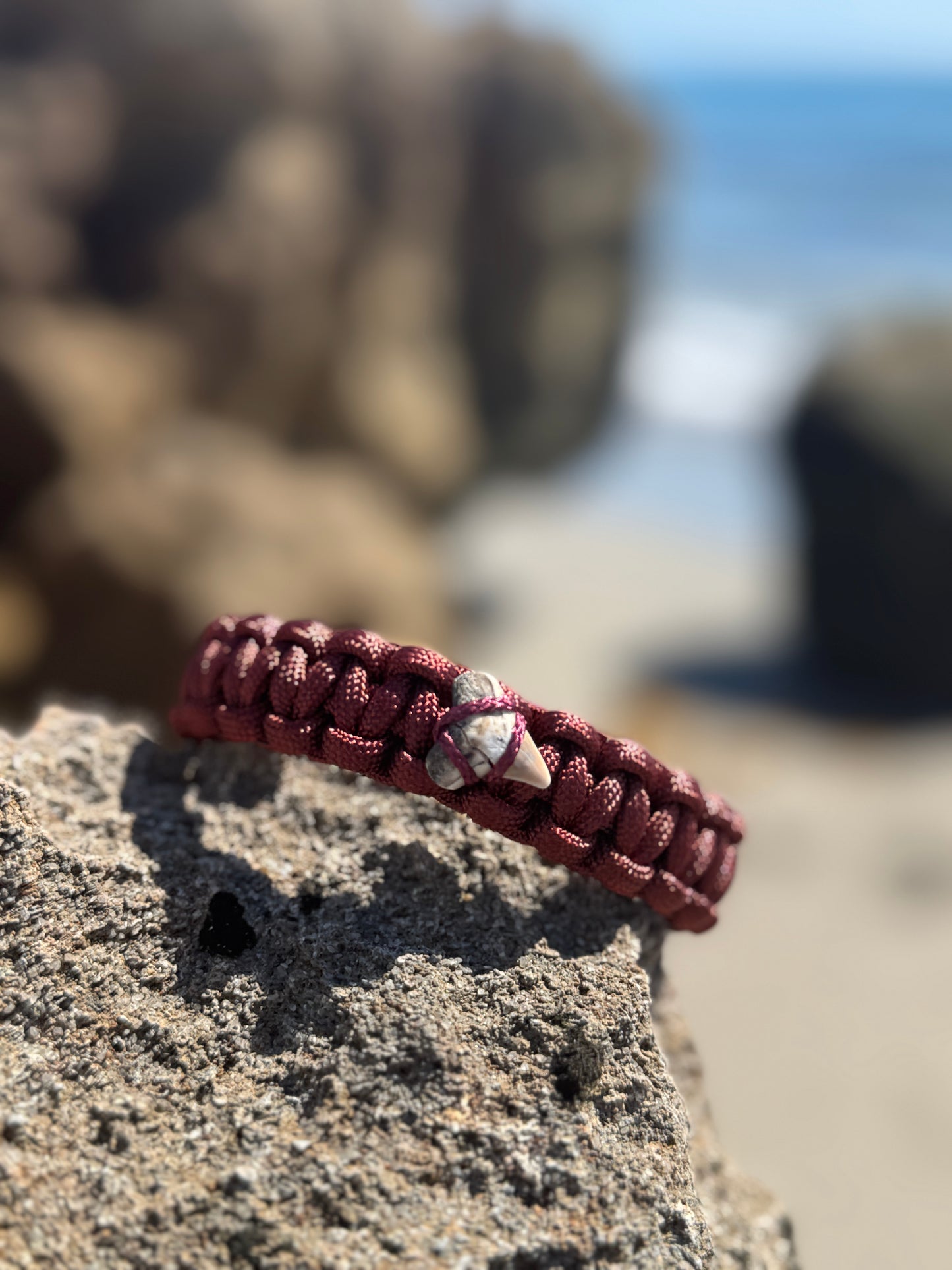 Shark Shackle
