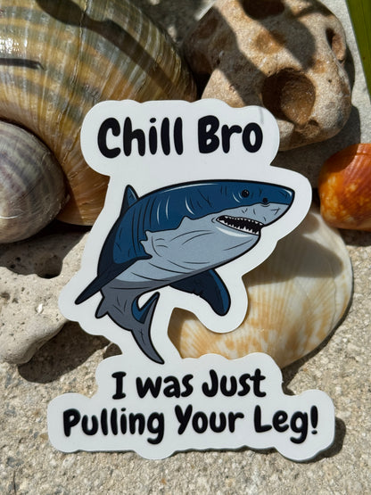 Fun & Playful Shark Bumper Stickers – Ocean Lovers, Car Decals, Laptop Stickers 3" inch