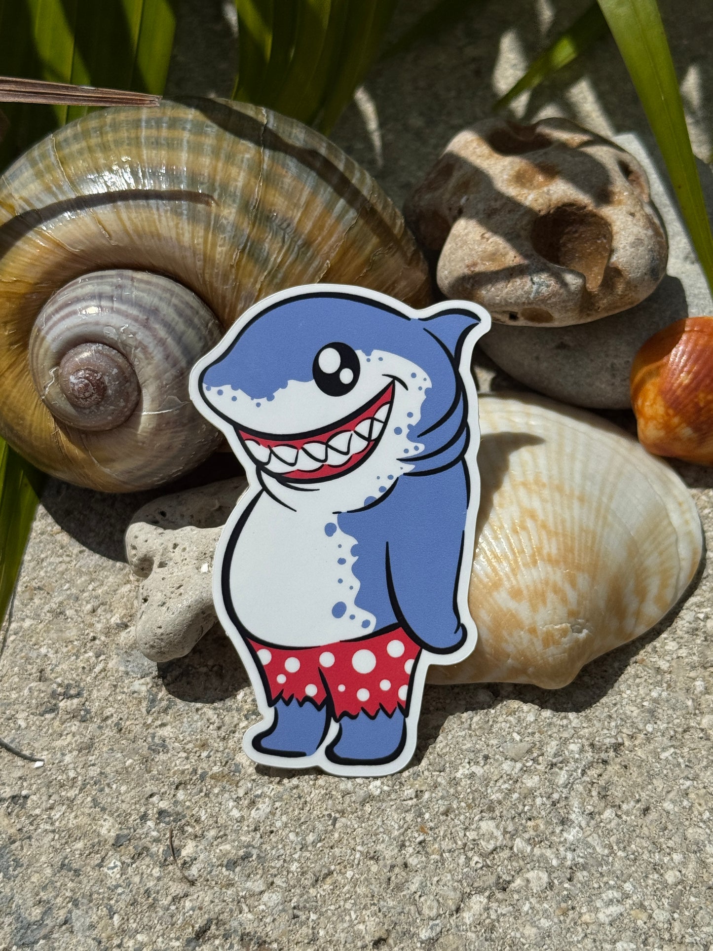 Fun & Playful Shark Bumper Stickers – Ocean Lovers, Car Decals, Laptop Stickers 3" inch