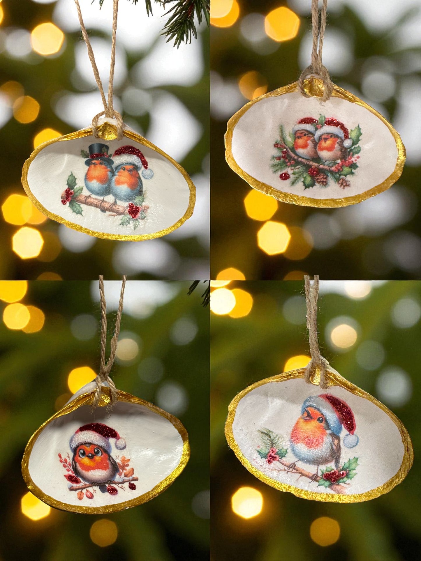 "Coastal Robins"