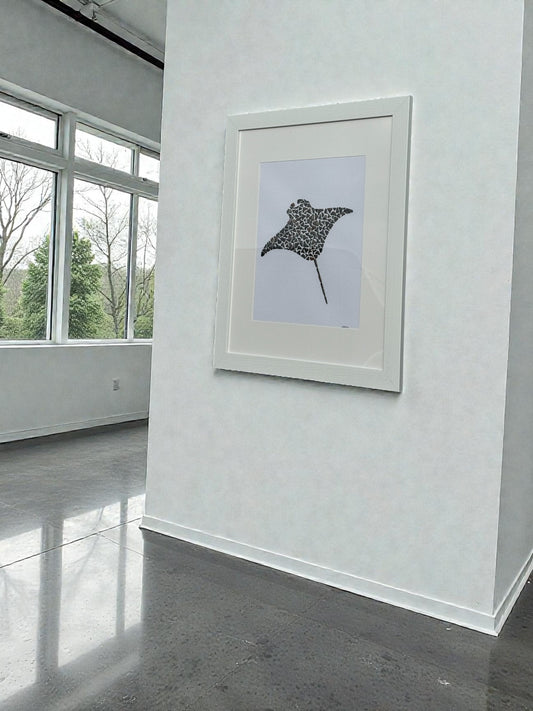 "Phantom of the Reef"