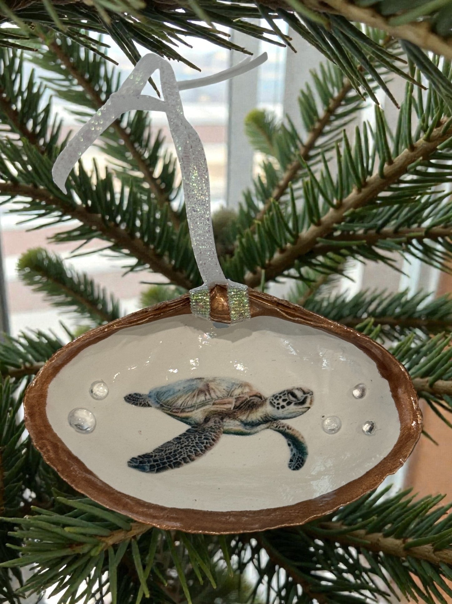 "Turtley Cute”