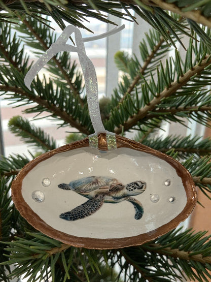 "Turtley Cute”