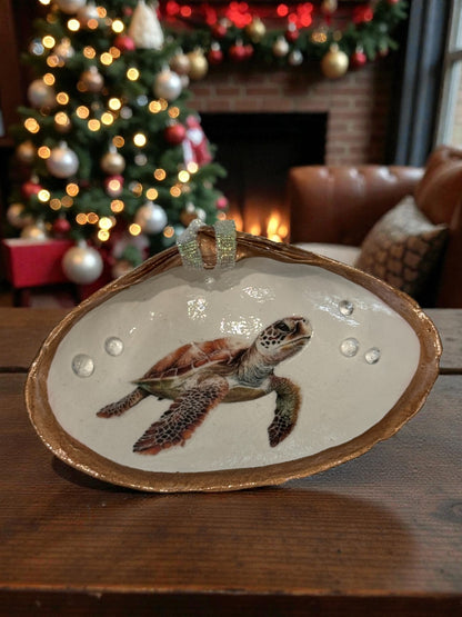 "Turtley Cute”