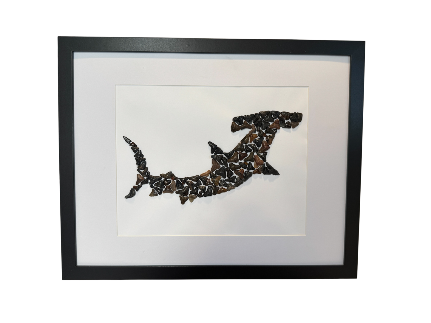 Large Hammerhead Shark – Fossilized Shark Teeth Wall Art (12” x 15”)