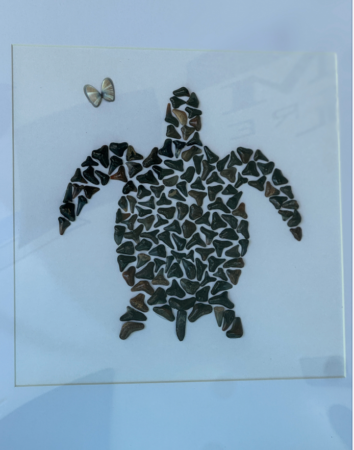 Turtle Love – Fossilized Shark Tooth Sea Turtle Wall Art | Handmade Coastal Décor (13" x 13")