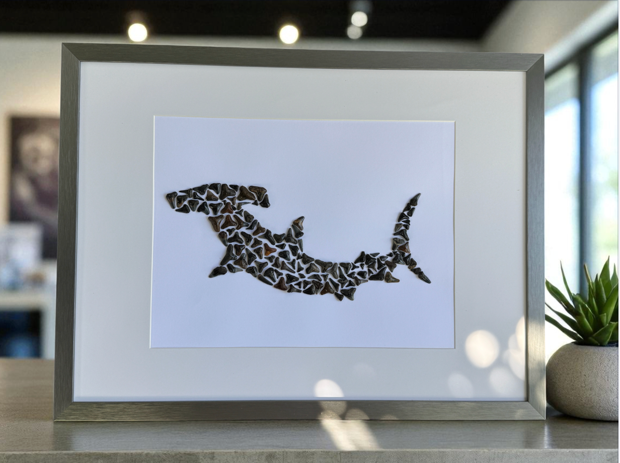 Large Hammerhead Shark – Fossilized Shark Teeth Wall Art (13” x 17”)
