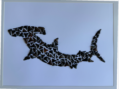 Large Hammerhead Shark – Fossilized Shark Teeth Wall Art (13” x 17”)