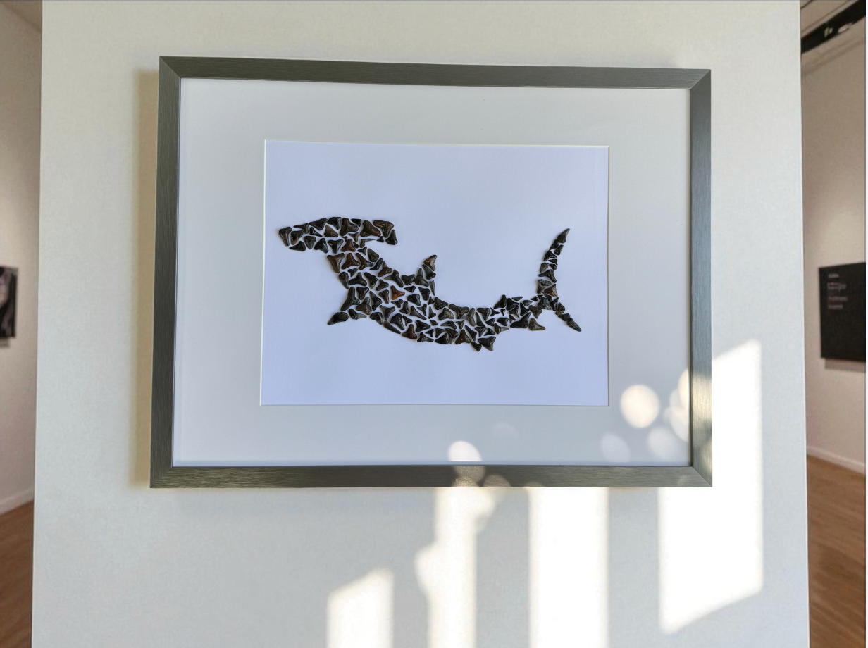 Large Hammerhead Shark – Fossilized Shark Teeth Wall Art (13” x 17”)