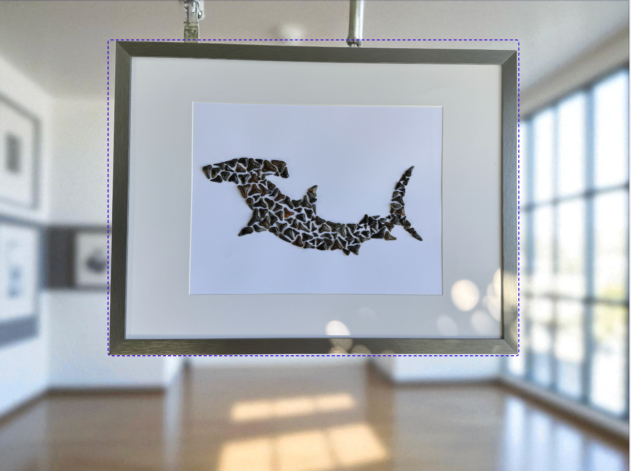Large Hammerhead Shark – Fossilized Shark Teeth Wall Art (13” x 17”)