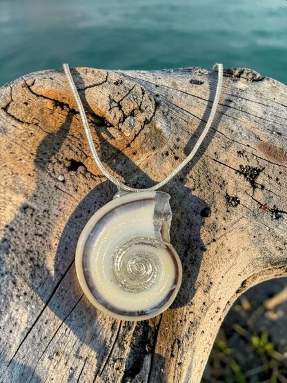 "Spiral Drama"
