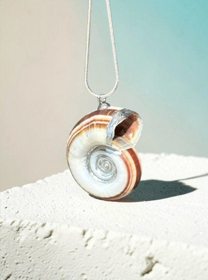 "Spiral Drama"