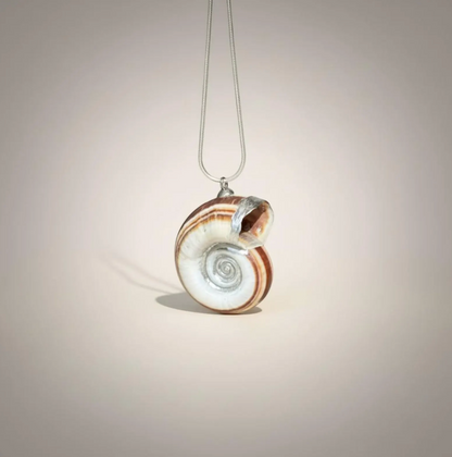 "Spiral Drama"