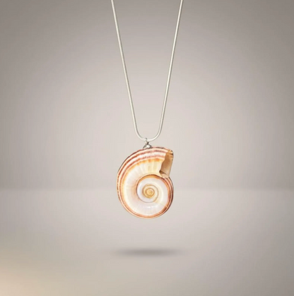 "Spiral Drama"