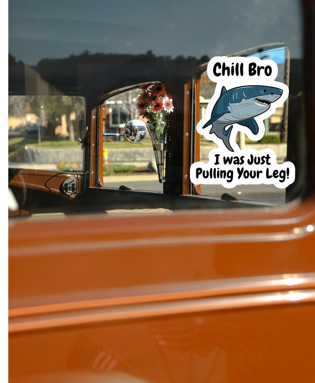 Fun & Playful Shark Bumper Stickers – Ocean Lovers, Car Decals, Laptop Stickers 3" inch