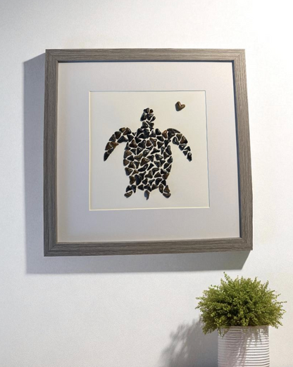 "Turtle Love"