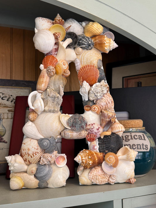 Custom Seashell Letters