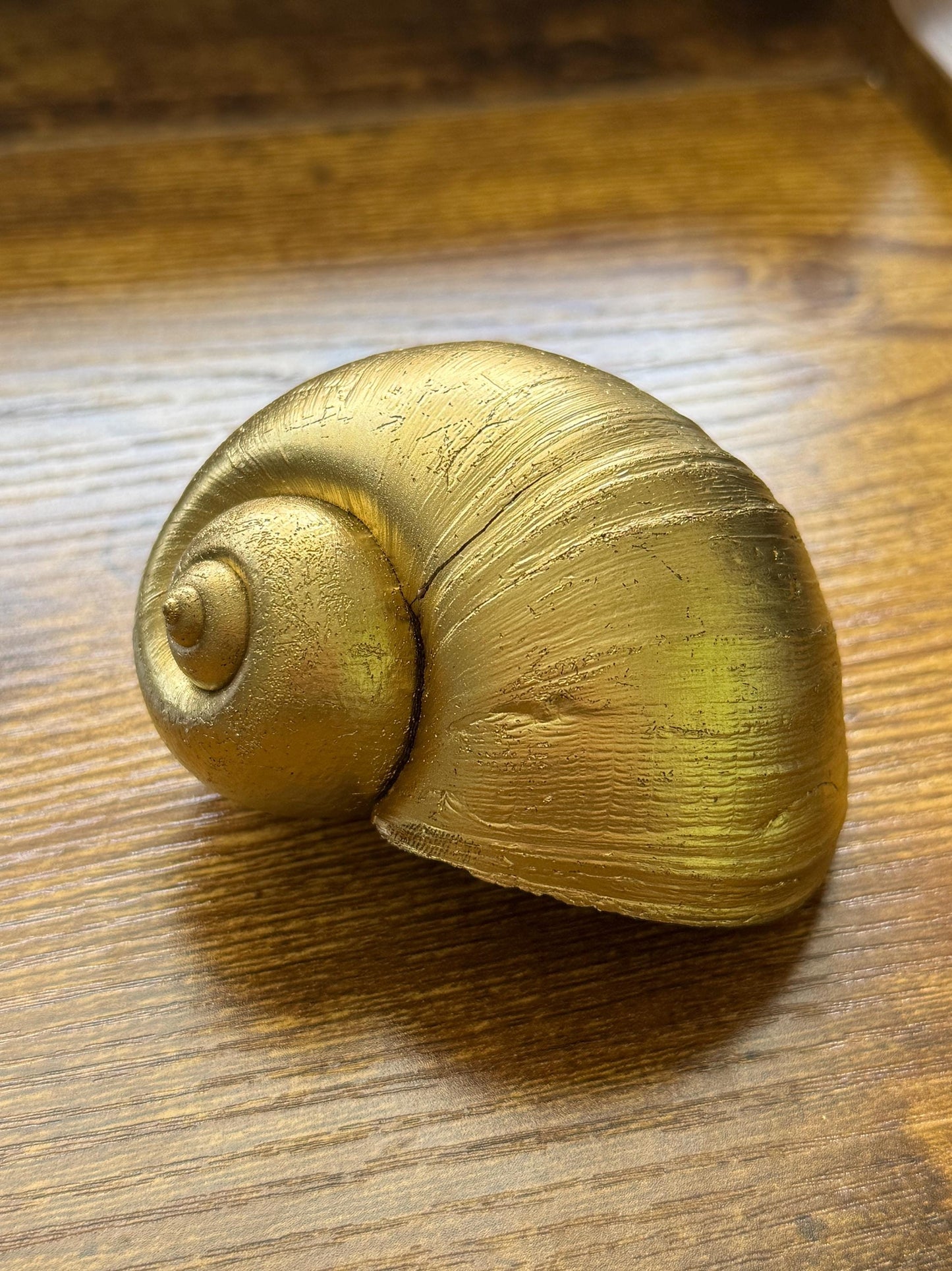 Giant Apple Snail Shells